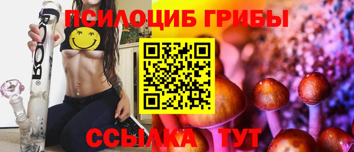 купить   Галлюциногенные грибы Psilocybe  Вход с VPN  Нововоронеж 