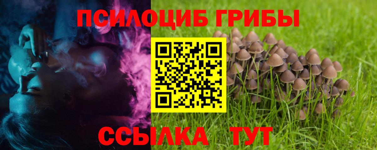 Галлюциногенные грибы Magic Shrooms Нововоронеж